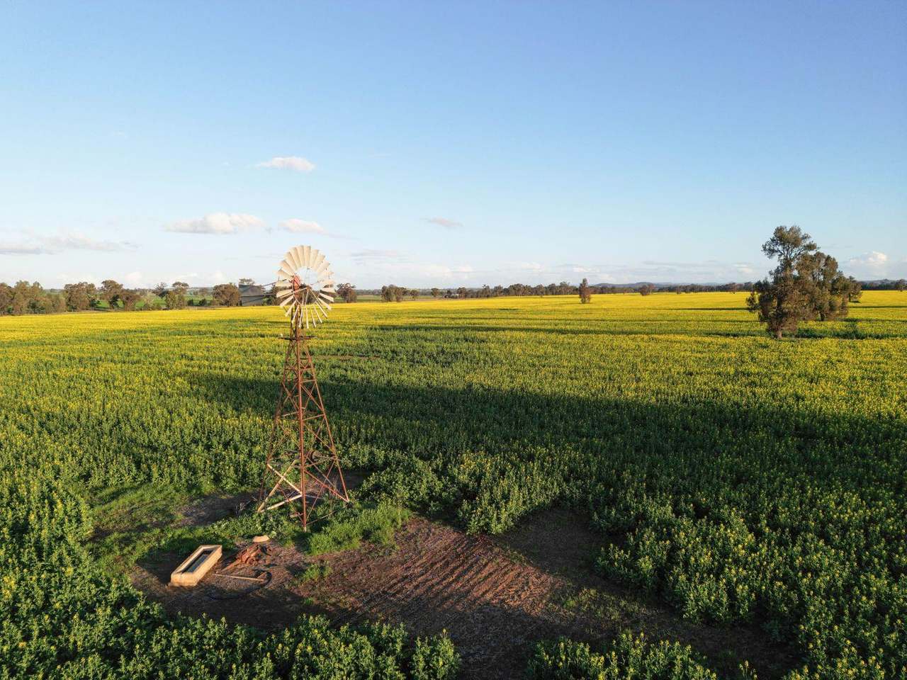 85 Marrar South Road, Downside  For Sale by Farmbuy.com - image 12