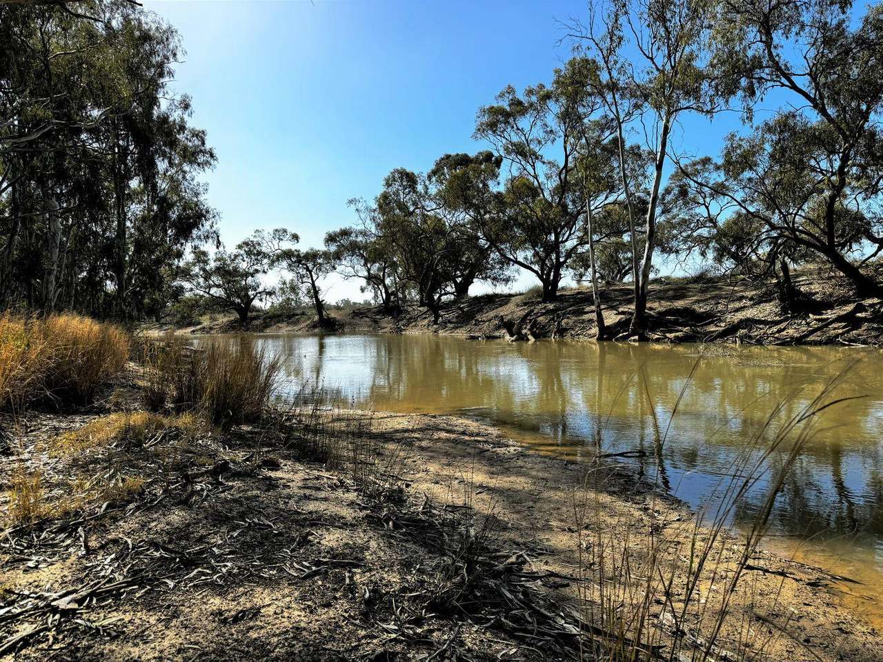 Brassi Road, Deniliquin Auction by Farmbuy.com - image 3