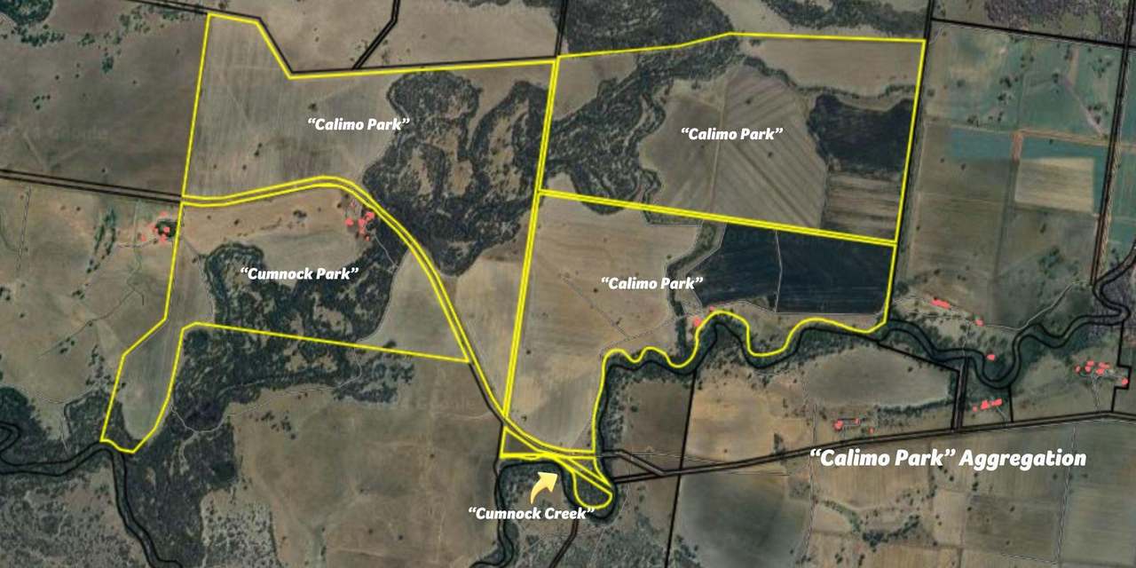 Brassi Road, Deniliquin Auction by Farmbuy.com - image 9