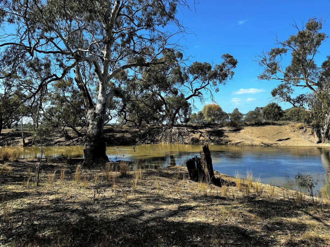 Brassi Road, Deniliquin Auction by Farmbuy.com - image 2