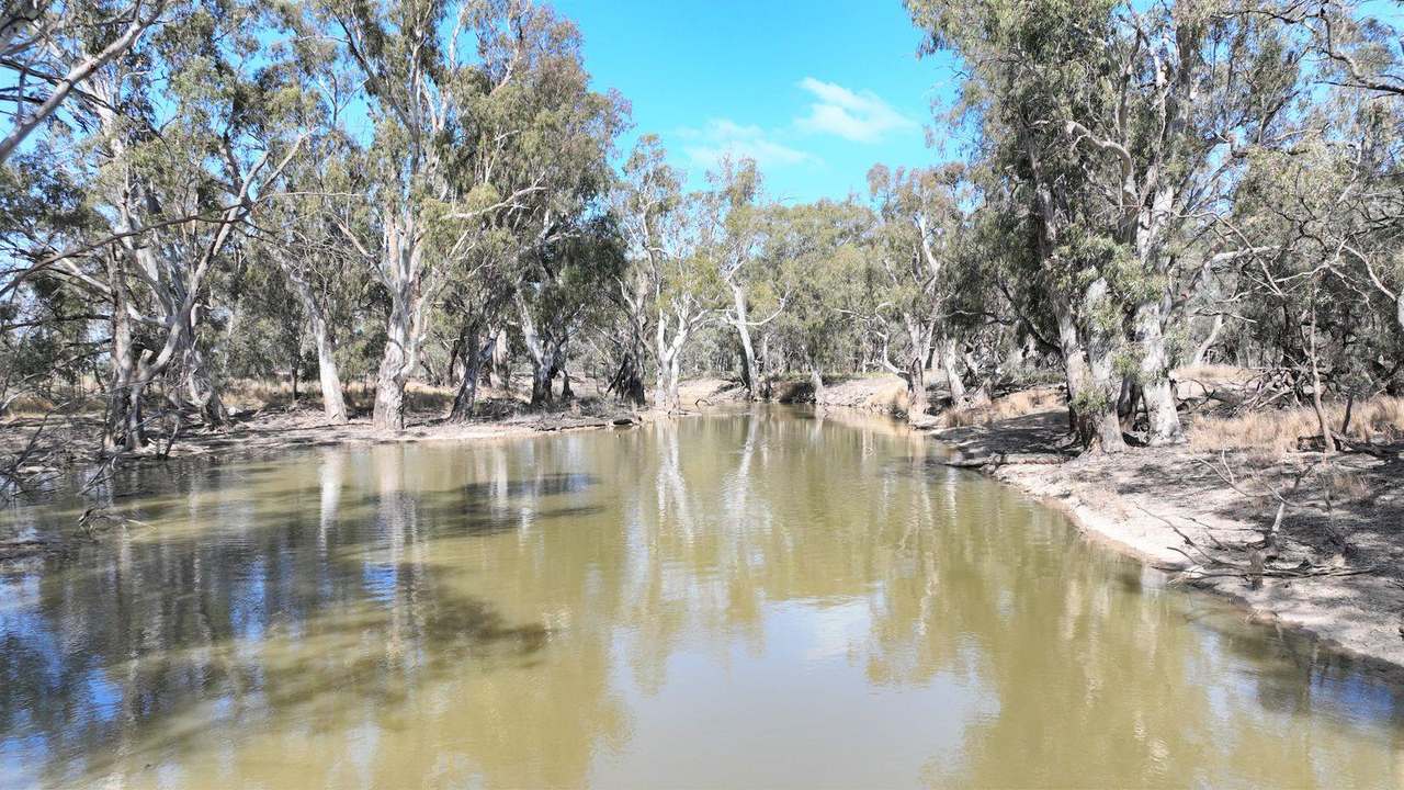 Brassi Road, Deniliquin Auction by Farmbuy.com - image 6