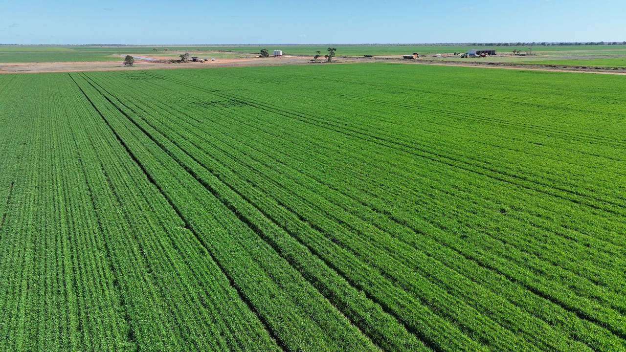 Mabins Well Road, Conargo Expressions of Interest by Farmbuy.com - image 3
