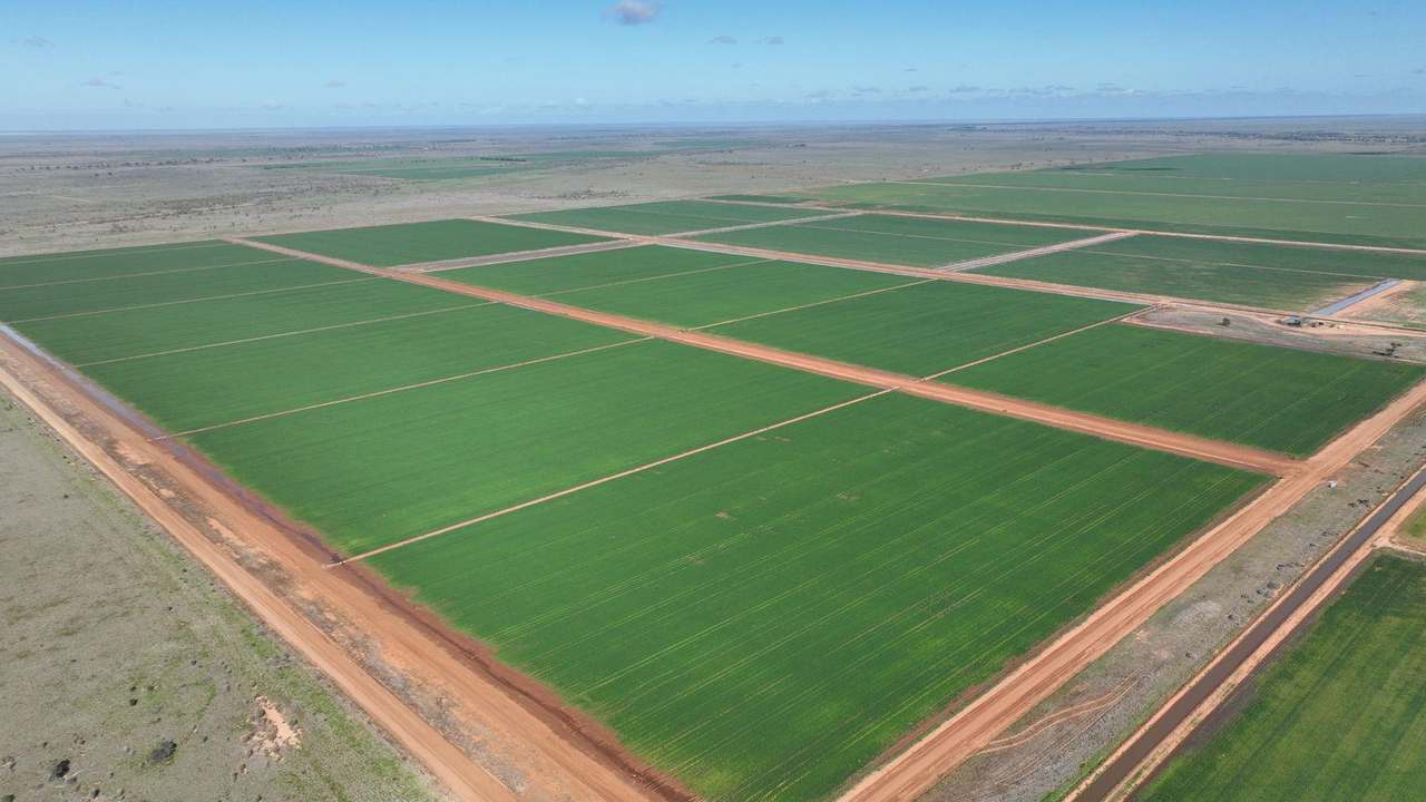 Mabins Well Road, Conargo Expressions of Interest by Farmbuy.com - image 2