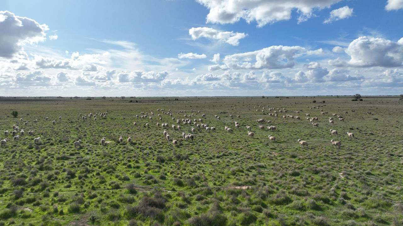 Mabins Well Road, Conargo Expressions of Interest by Farmbuy.com - image 26