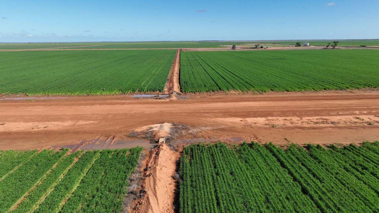 Mabins Well Road, Conargo Expressions of Interest by Farmbuy.com - image 23