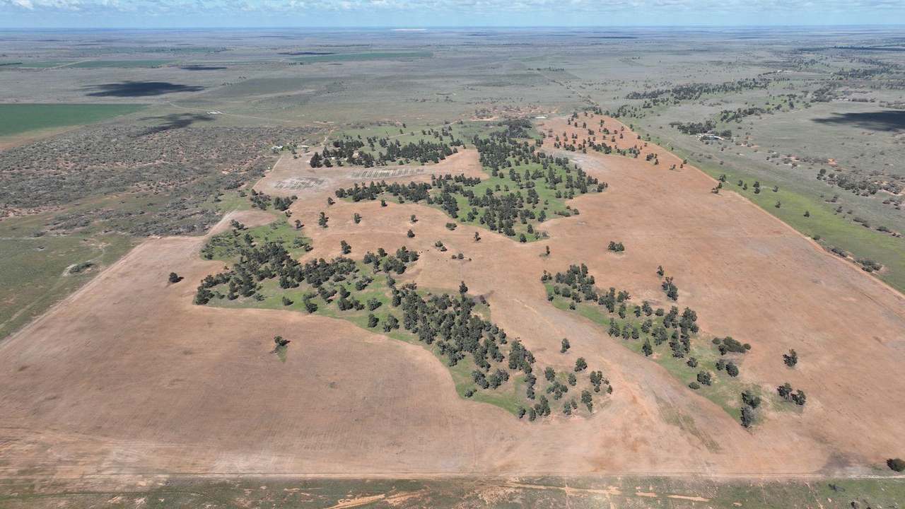 Mabins Well Road, Conargo Expressions of Interest by Farmbuy.com - image 25