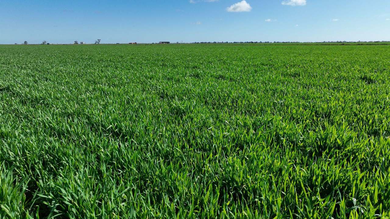 Mabins Well Road, Conargo Expressions of Interest by Farmbuy.com - image 22