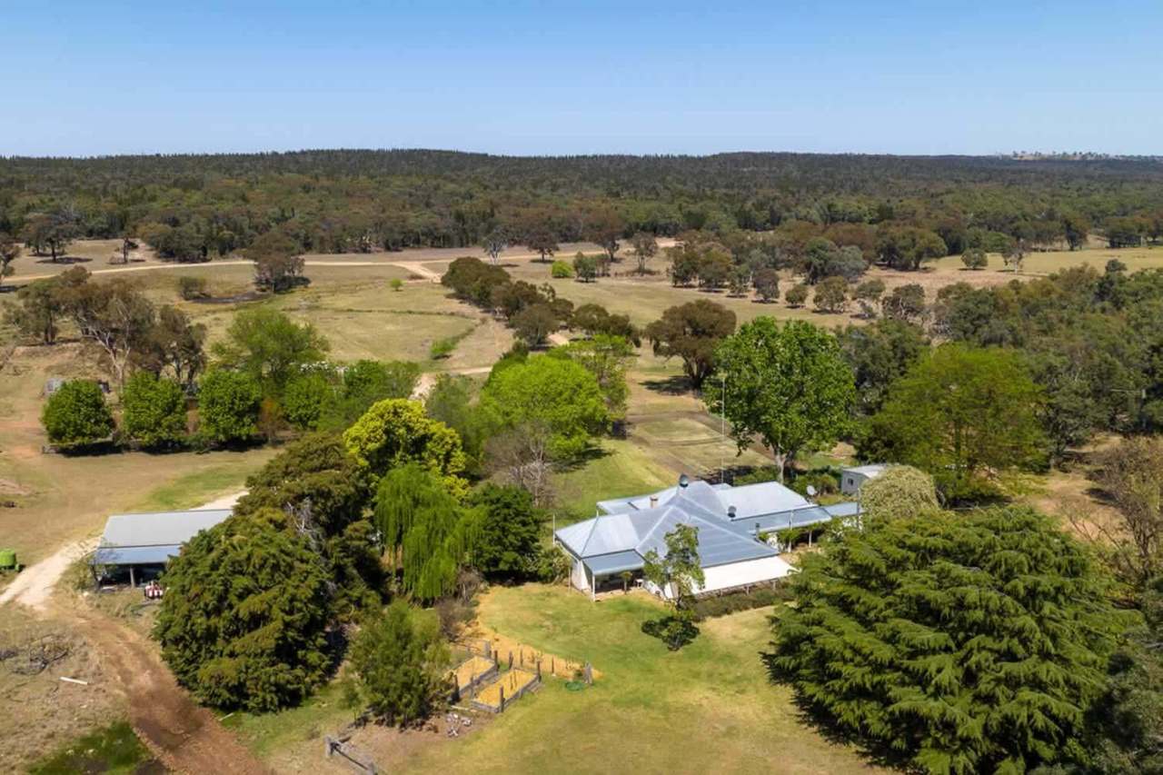 1717 Lockerbie Road , Dunedoo Sold by Farmbuy.com - image 20