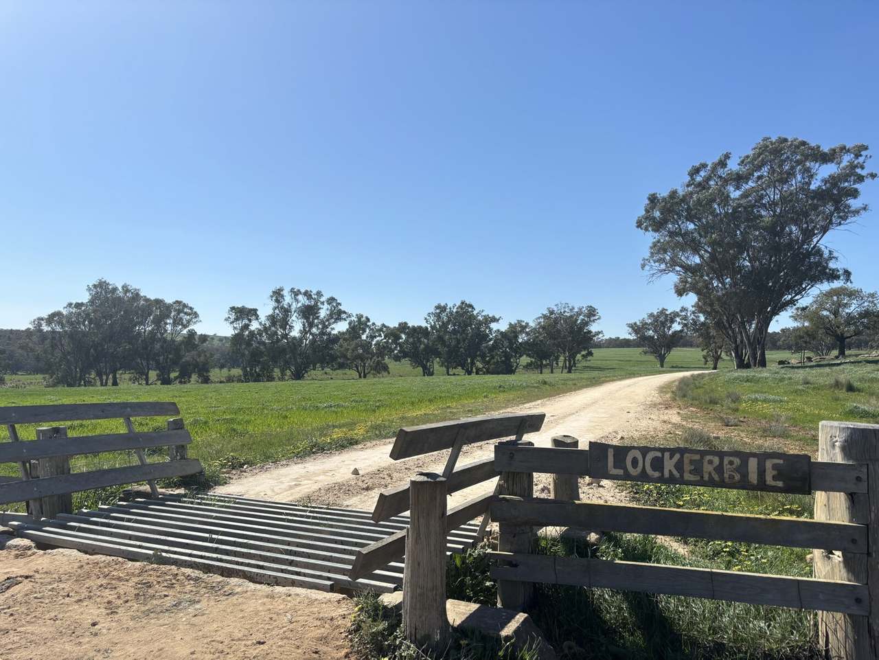1717 Lockerbie Road , Dunedoo Sold by Farmbuy.com - image 2