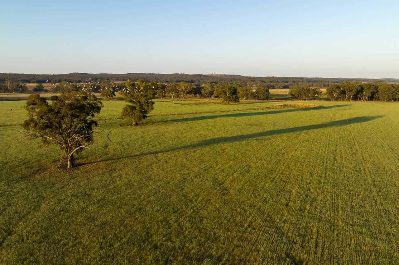 1717 Lockerbie Road , Dunedoo Sold by Farmbuy.com - image 17