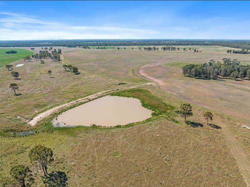 161 Sweedman Road, Millmerran For Sale by Farmbuy.com - image 32