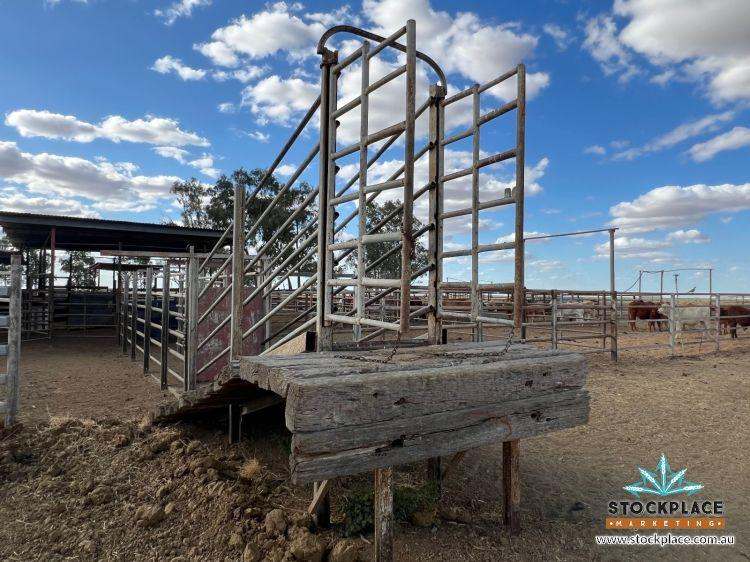 "HELEN DOWNS", Julia Creek For Sale by Farmbuy.com - image 19