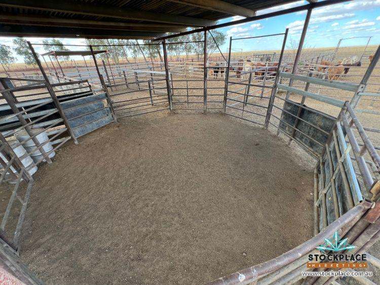 "HELEN DOWNS", Julia Creek For Sale by Farmbuy.com - image 20