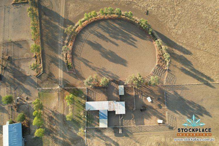 "HELEN DOWNS", Julia Creek For Sale by Farmbuy.com - image 26