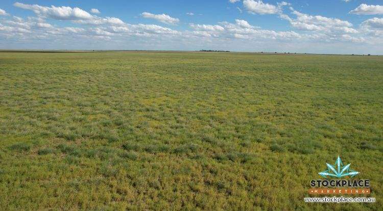 "HELEN DOWNS", Julia Creek For Sale by Farmbuy.com - image 11