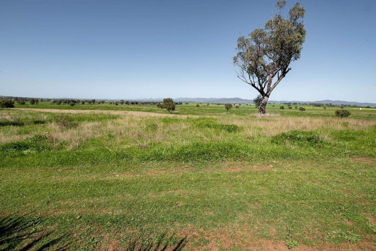 449 Perrings Road, Somerton For Sale by Farmbuy.com - image 7