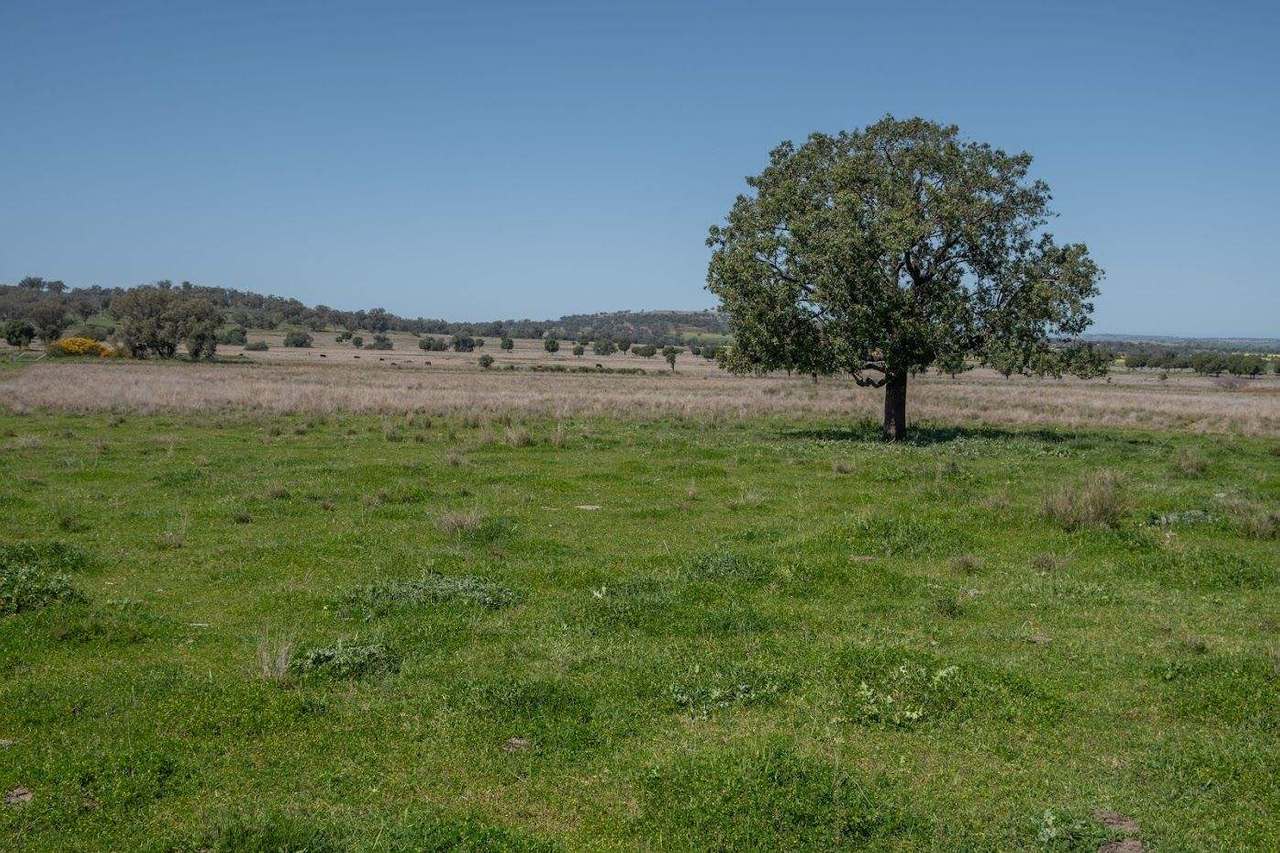 449 Perrings Road, Somerton For Sale by Farmbuy.com - image 23