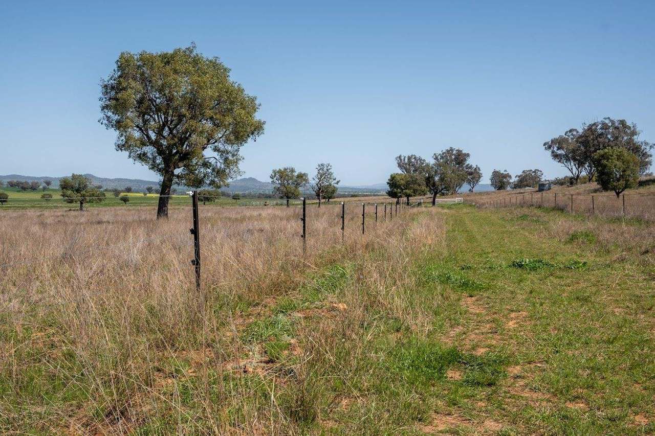 449 Perrings Road, Somerton For Sale by Farmbuy.com - image 28