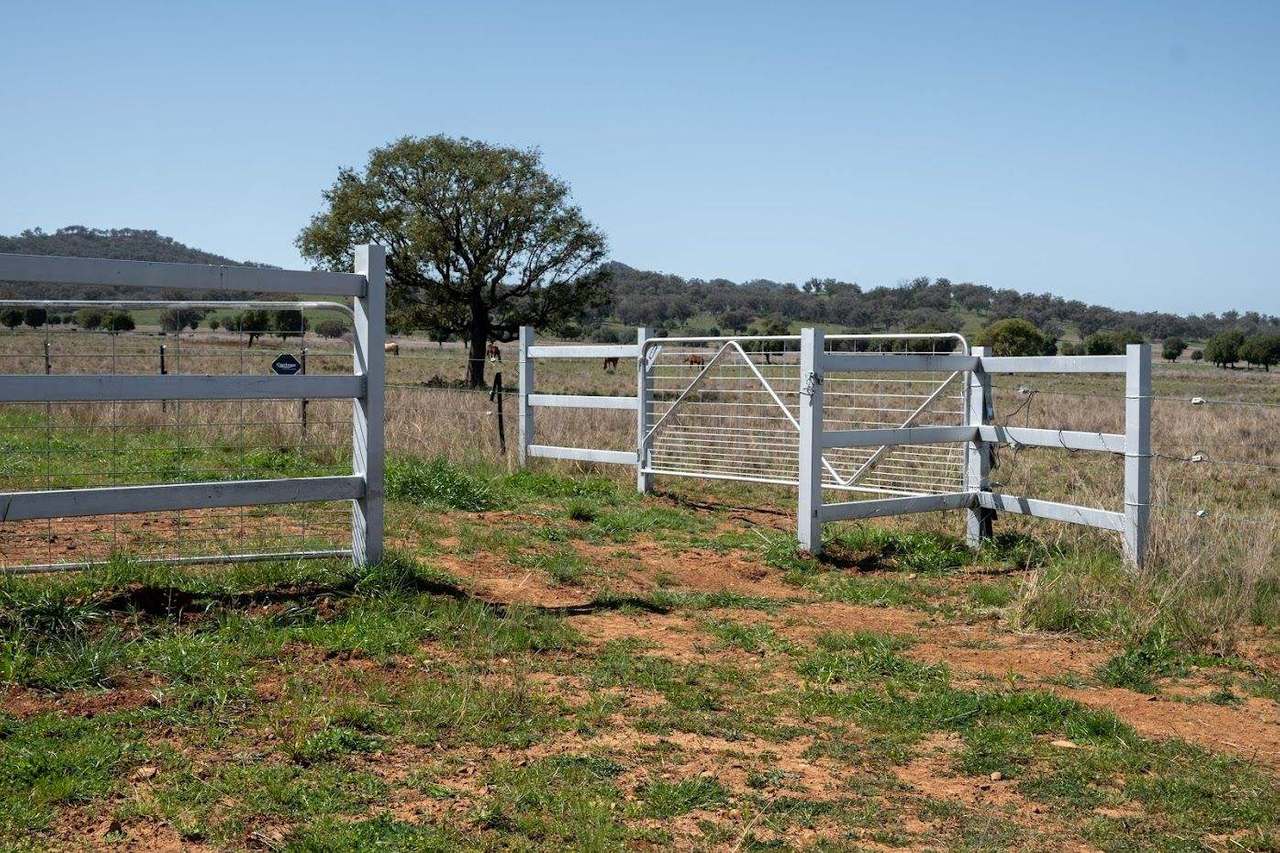 449 Perrings Road, Somerton For Sale by Farmbuy.com - image 26