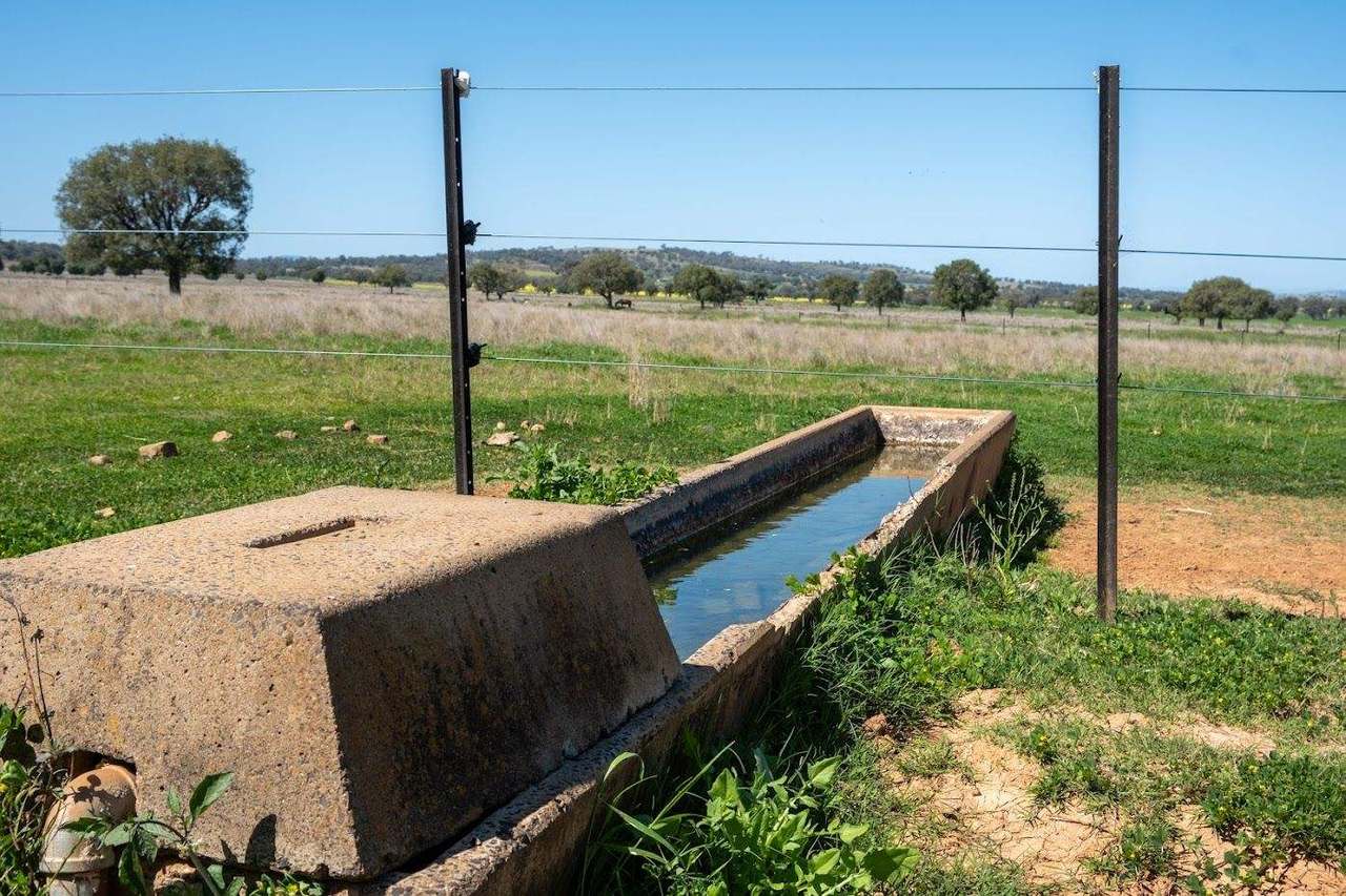 449 Perrings Road, Somerton For Sale by Farmbuy.com - image 29