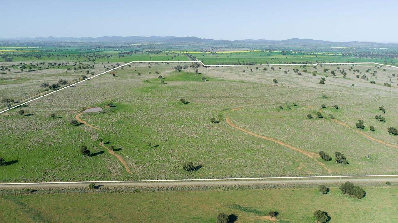 449 Perrings Road, Somerton For Sale by Farmbuy.com - image 6