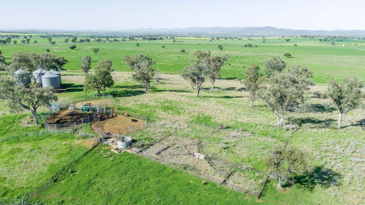 449 Perrings Road, Somerton For Sale by Farmbuy.com - image 1