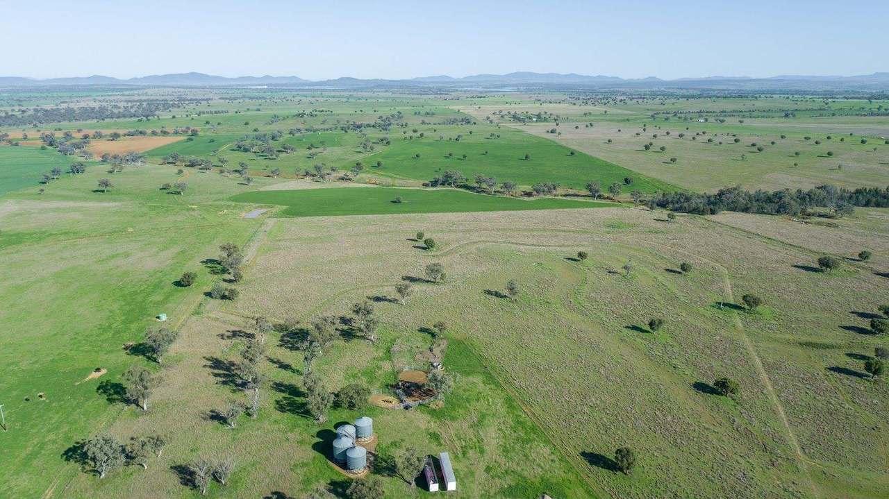 449 Perrings Road, Somerton For Sale by Farmbuy.com - image 4