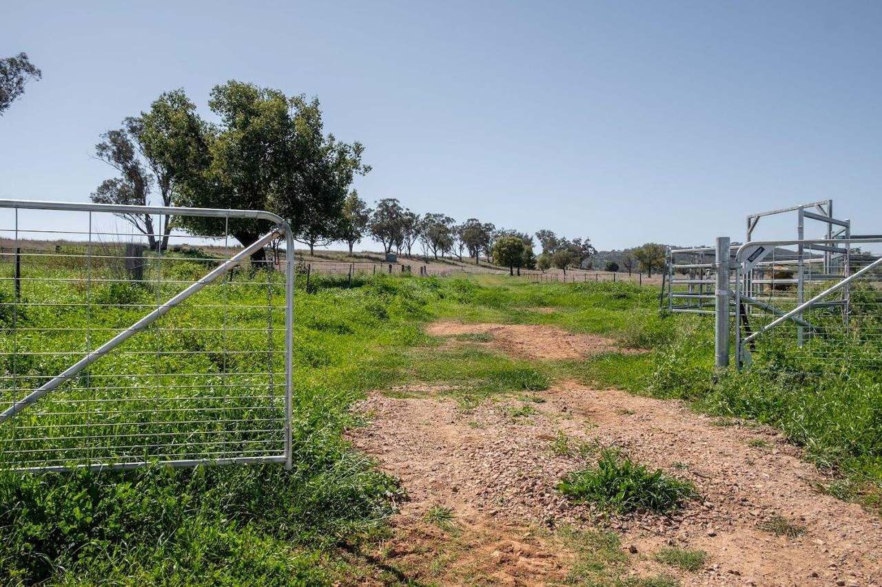 449 Perrings Road, Somerton For Sale by Farmbuy.com - image 27