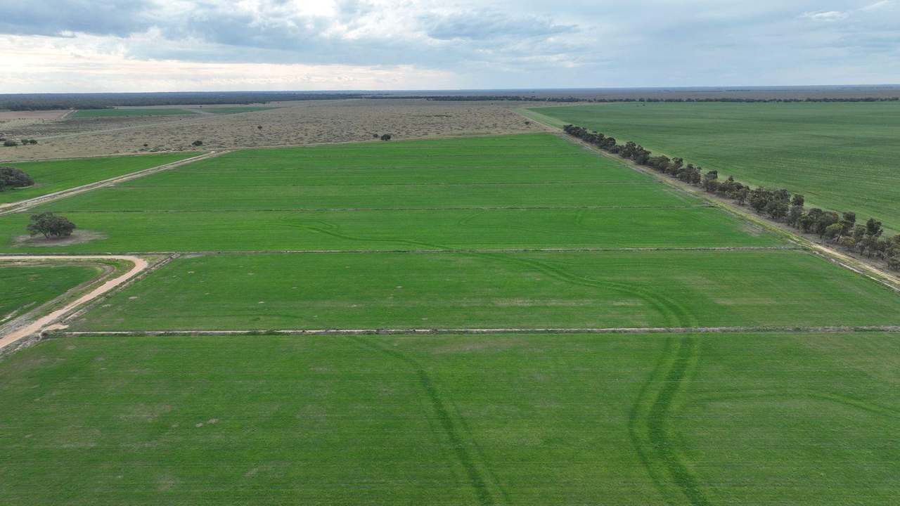 Pretty Pine Road, Deniliquin For Lease by Farmbuy.com - image 11