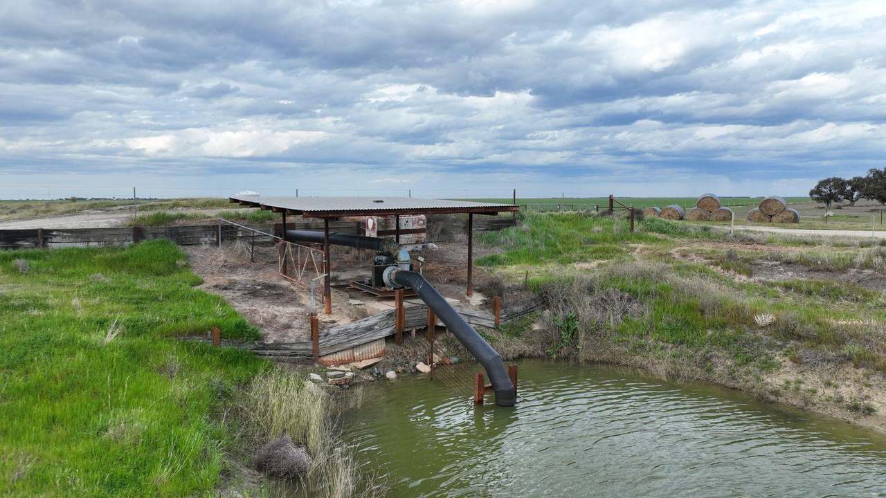 Pretty Pine Road, Deniliquin For Lease by Farmbuy.com - image 8