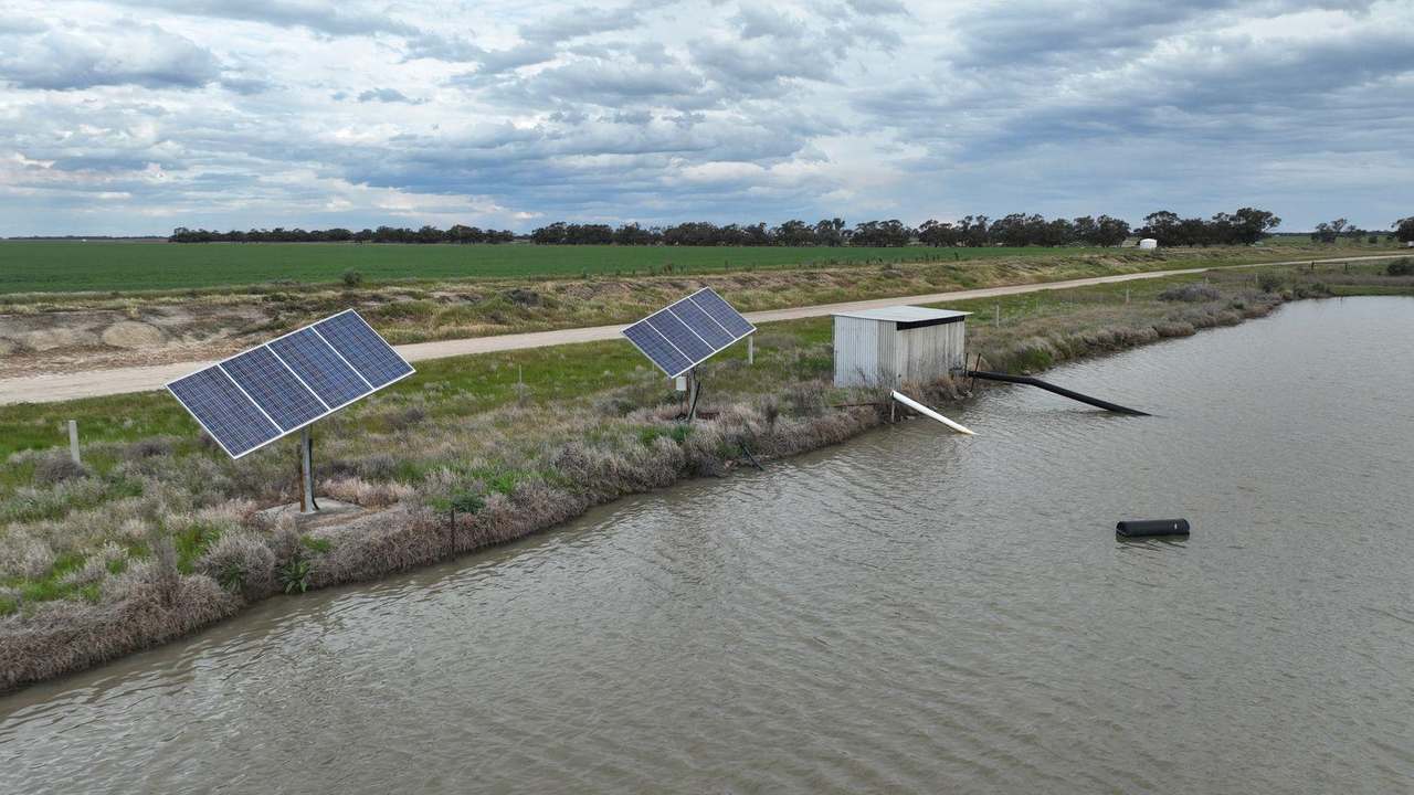 Pretty Pine Road, Deniliquin For Lease by Farmbuy.com - image 9