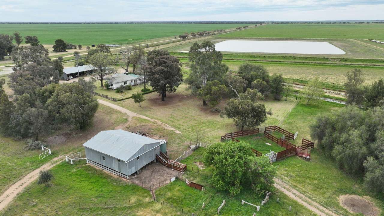 Pretty Pine Road, Deniliquin For Lease by Farmbuy.com - image 13