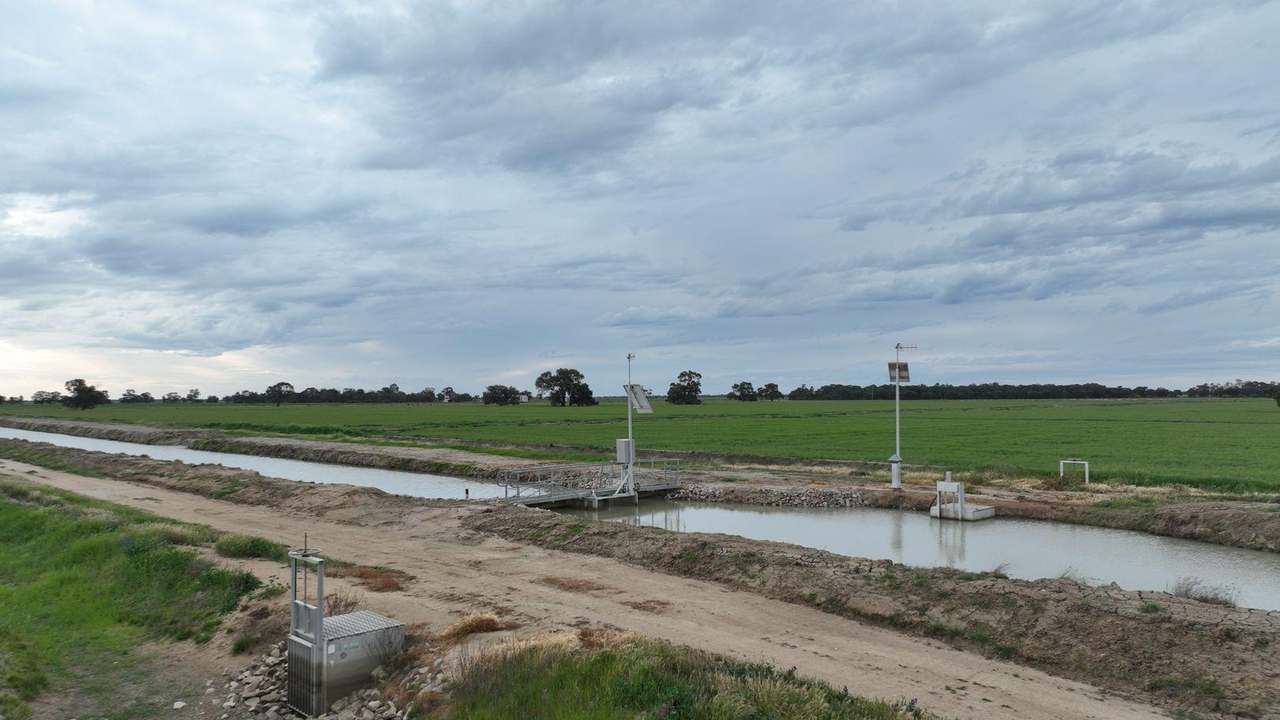Pretty Pine Road, Deniliquin For Lease by Farmbuy.com - image 19