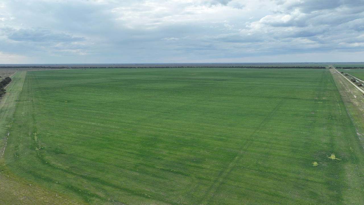 Pretty Pine Road, Deniliquin For Lease by Farmbuy.com - image 12