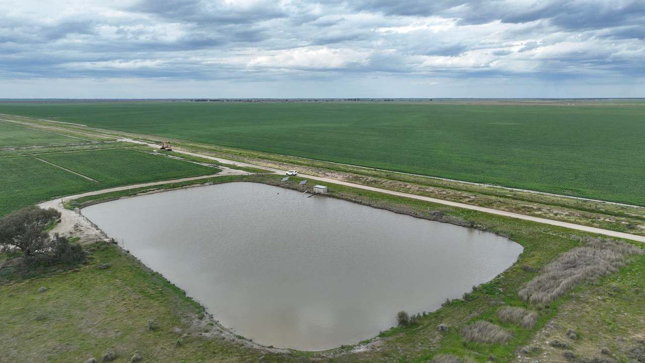 Pretty Pine Road, Deniliquin For Lease by Farmbuy.com - image 10