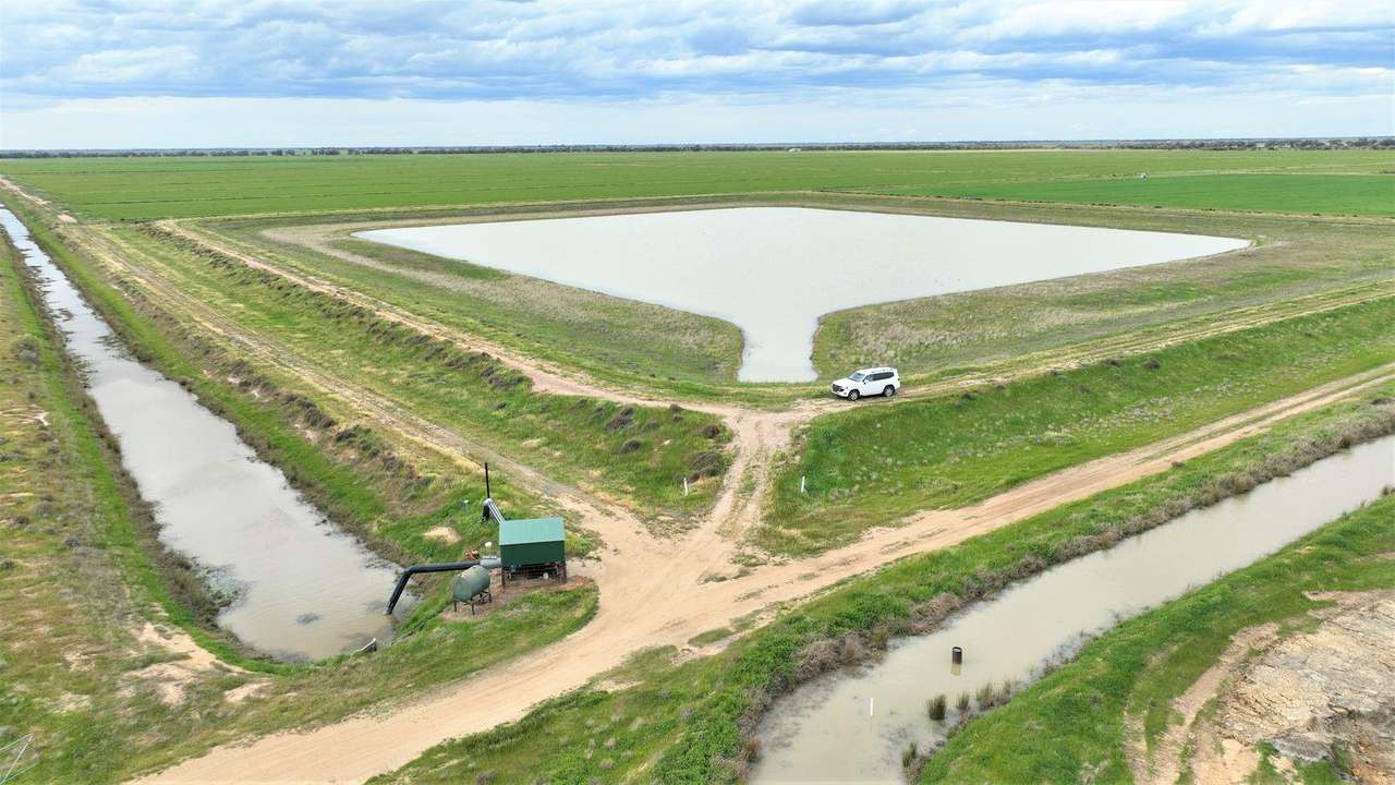 Pretty Pine Road, Deniliquin For Lease by Farmbuy.com - image 3