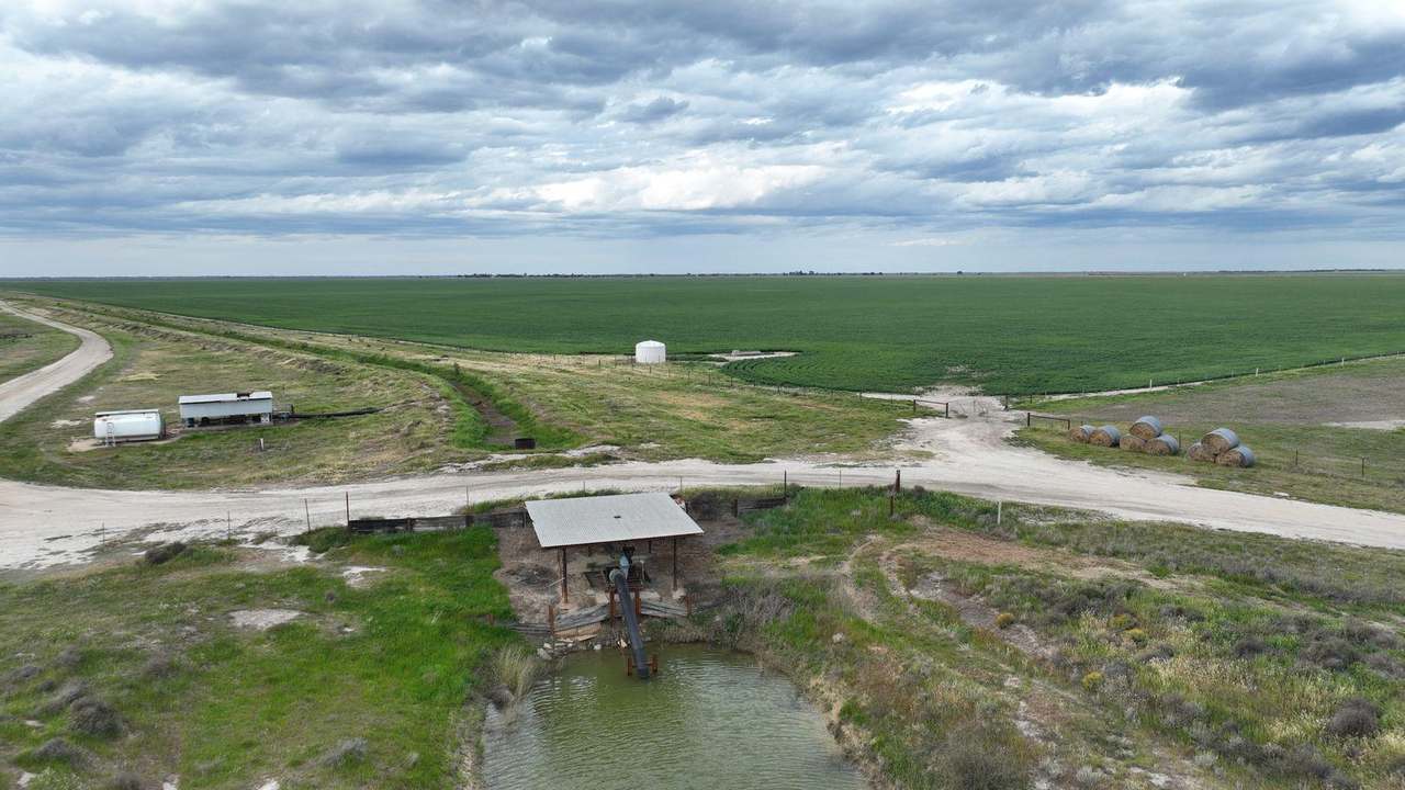 Pretty Pine Road, Deniliquin For Lease by Farmbuy.com - image 7