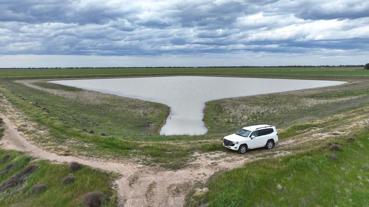 Pretty Pine Road, Deniliquin For Lease by Farmbuy.com - image 4
