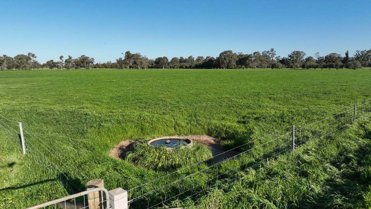 465 Woodyards Road, Tocumwal Expressions of Interest by Farmbuy.com - image 10
