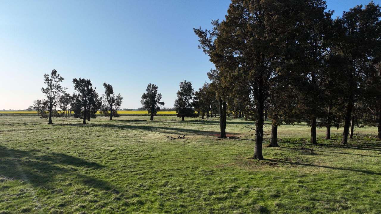 465 Woodyards Road, Tocumwal Expressions of Interest by Farmbuy.com - image 15