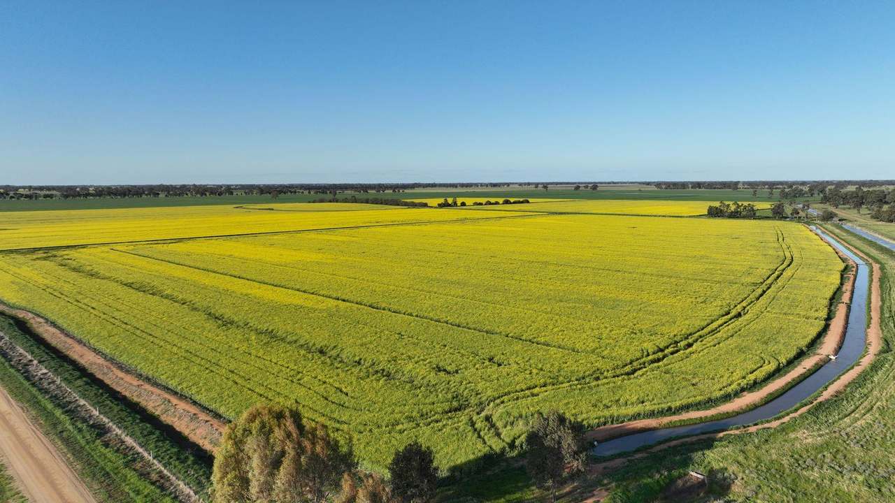 465 Woodyards Road, Tocumwal Expressions of Interest by Farmbuy.com - image 5