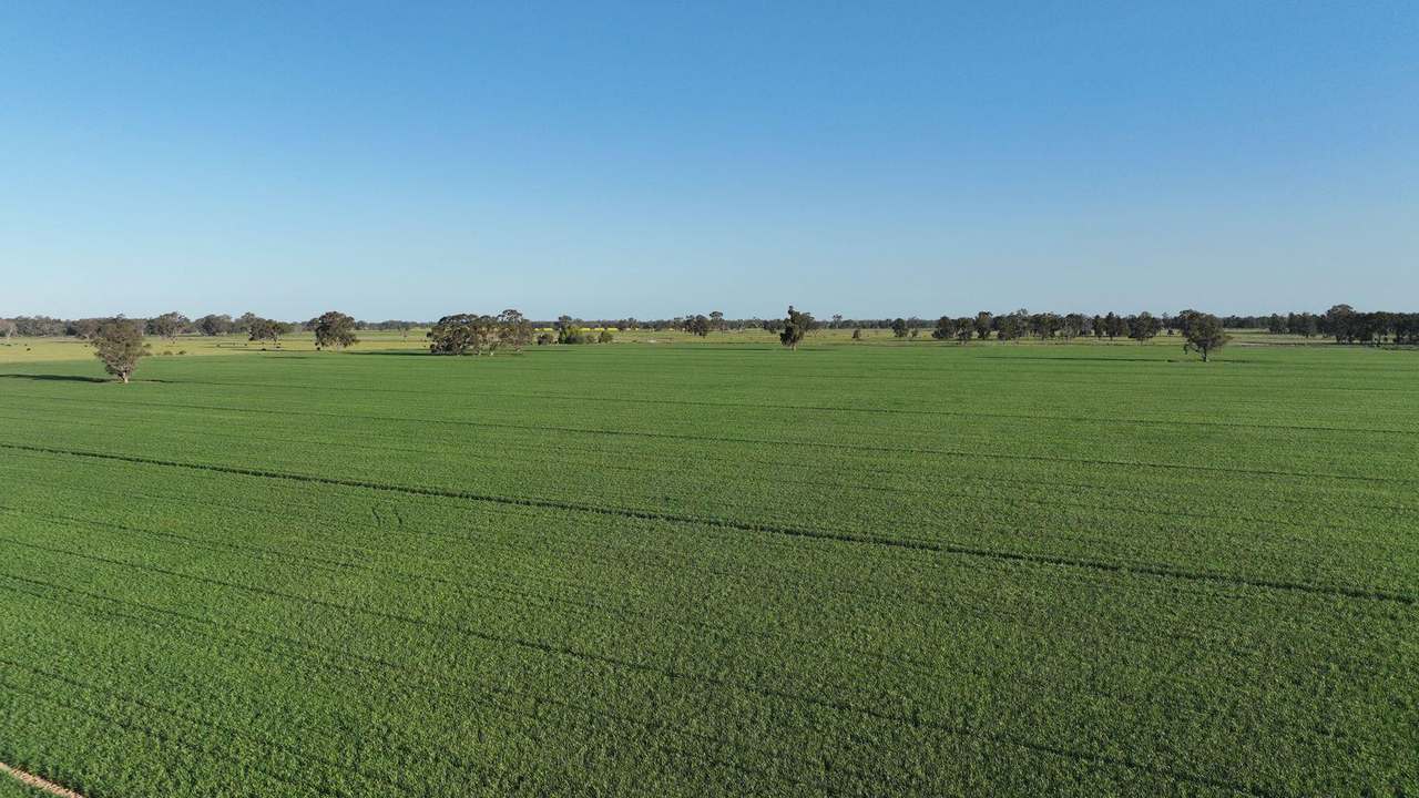 465 Woodyards Road, Tocumwal Expressions of Interest by Farmbuy.com - image 8