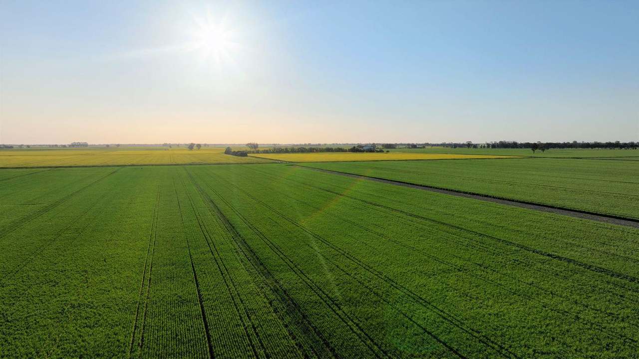 465 Woodyards Road, Tocumwal Expressions of Interest by Farmbuy.com - image 16
