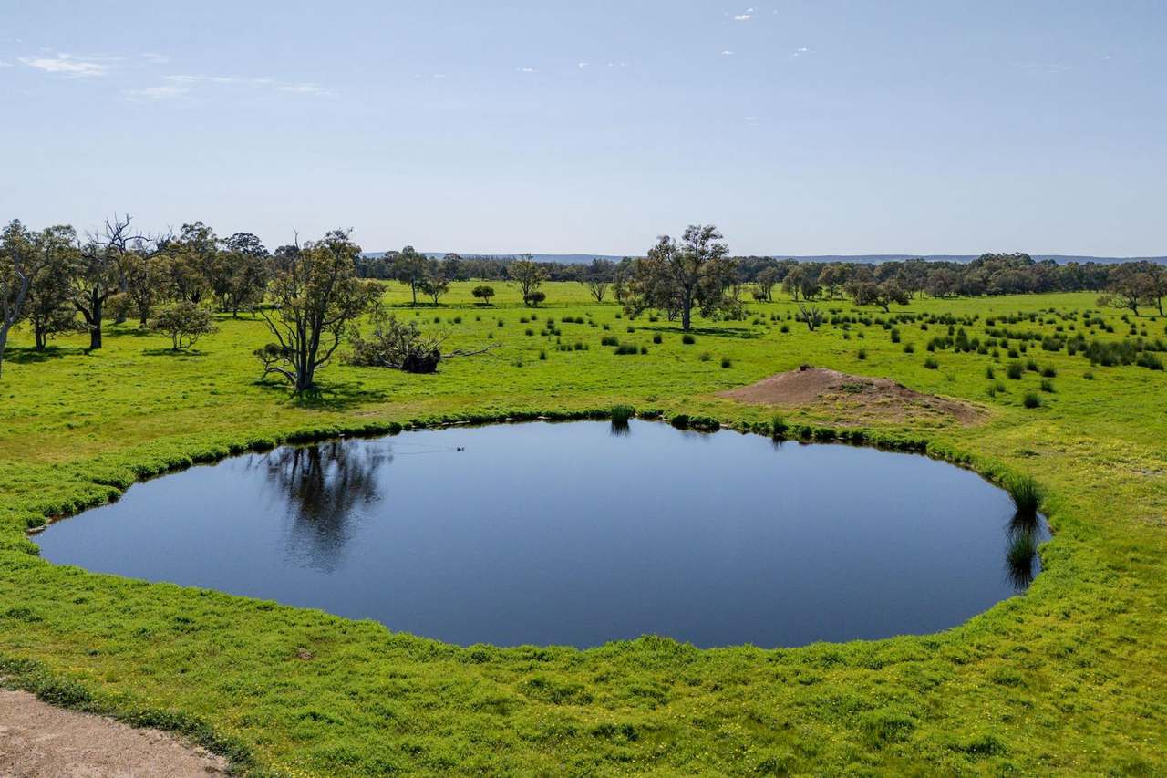 1514 Hopeland Road, Nambeelup Sold by Farmbuy.com - image 28