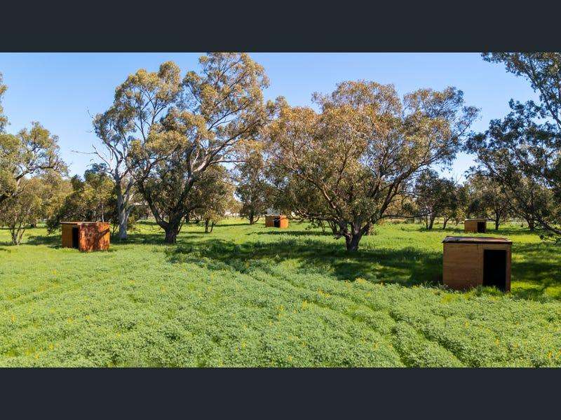 102 St Blaise Grove, North Dandalup Sold by Farmbuy.com - image 15