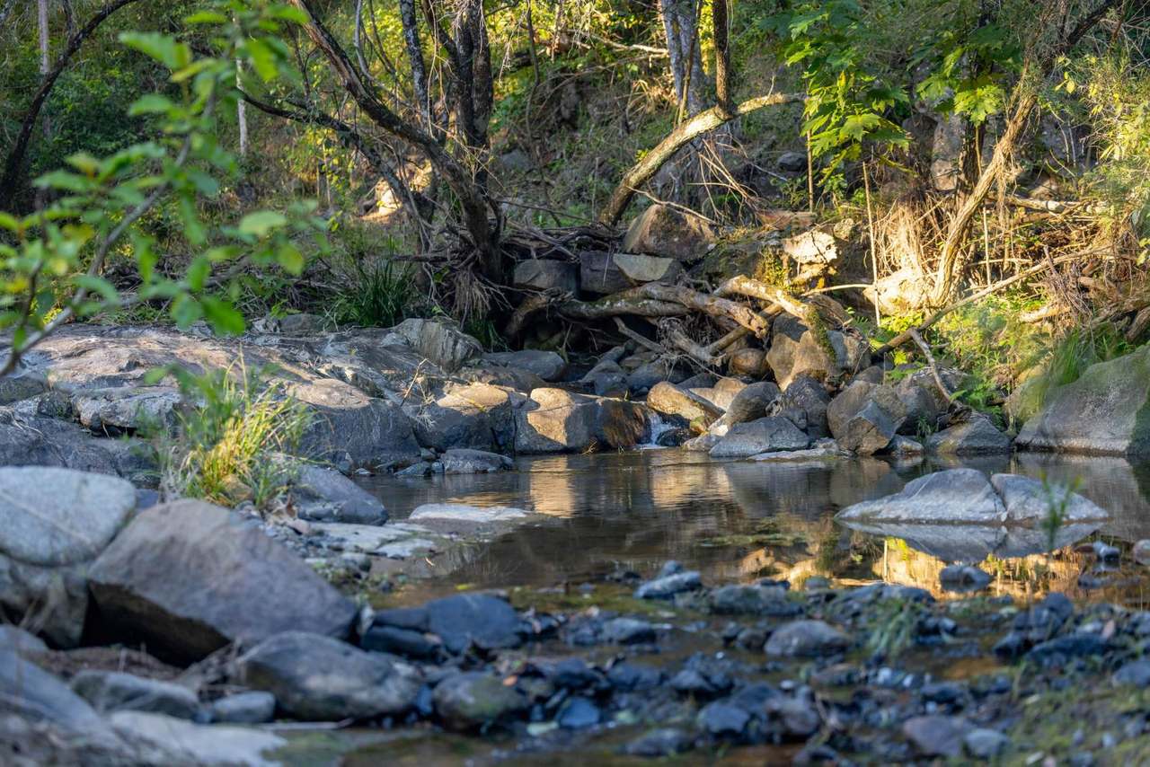 584 Cookes Road, Conondale For Sale by Farmbuy.com - image 9