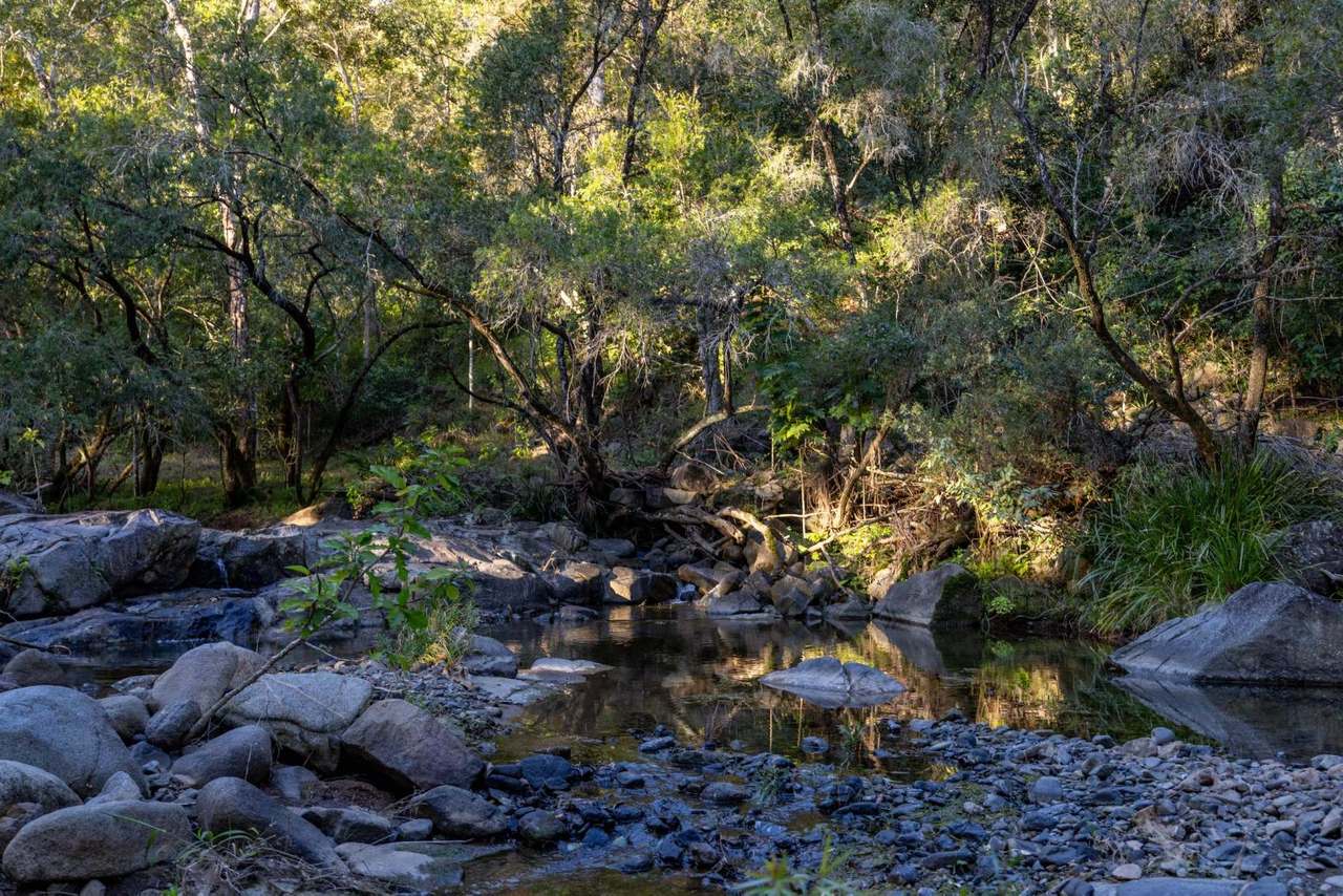 584 Cookes Road, Conondale For Sale by Farmbuy.com - image 25