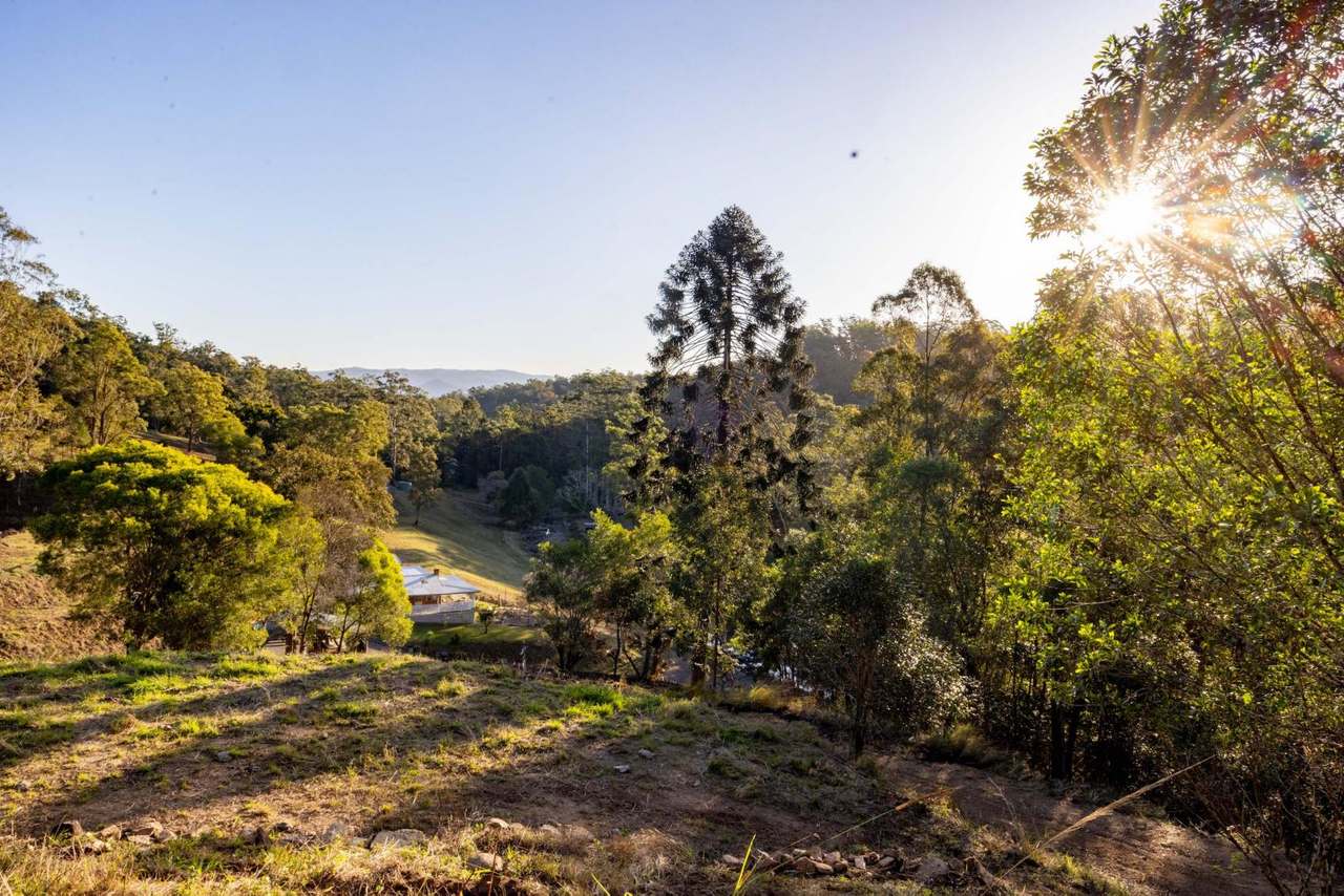 584 Cookes Road, Conondale For Sale by Farmbuy.com - image 23