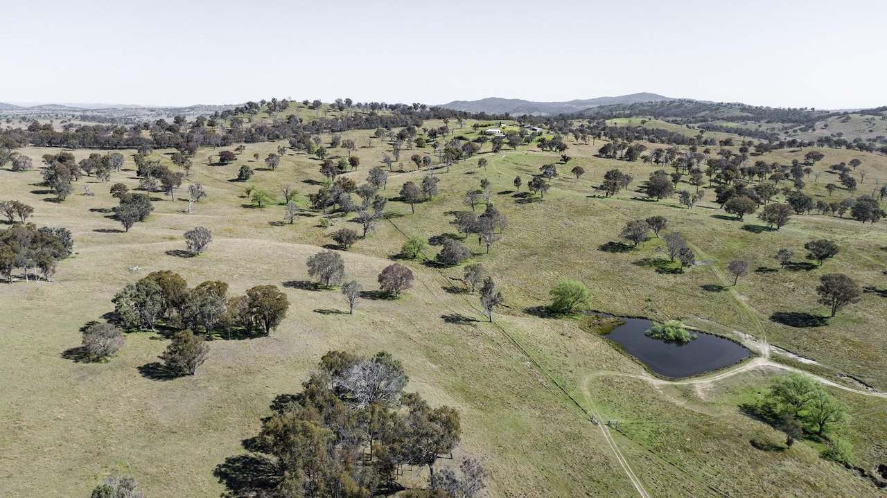 3956 Oxley Highway, Bendemeer For Sale by Farmbuy.com - image 8