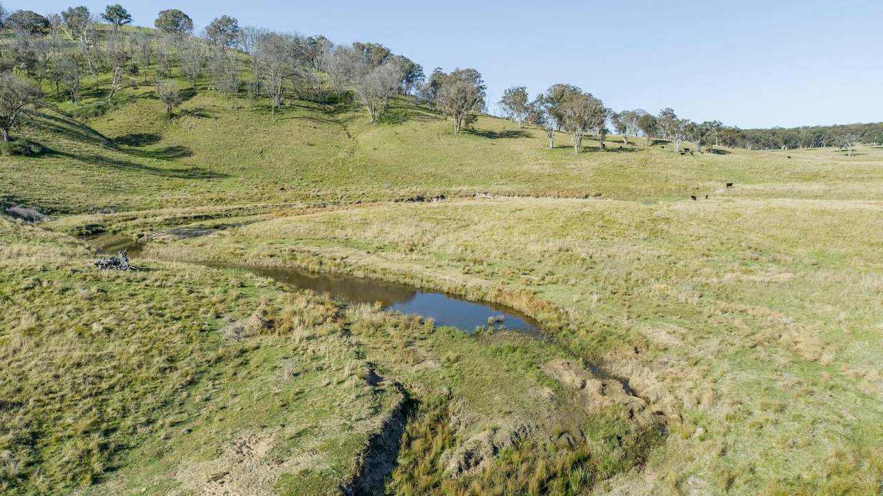 3956 Oxley Highway, Bendemeer For Sale by Farmbuy.com - image 6